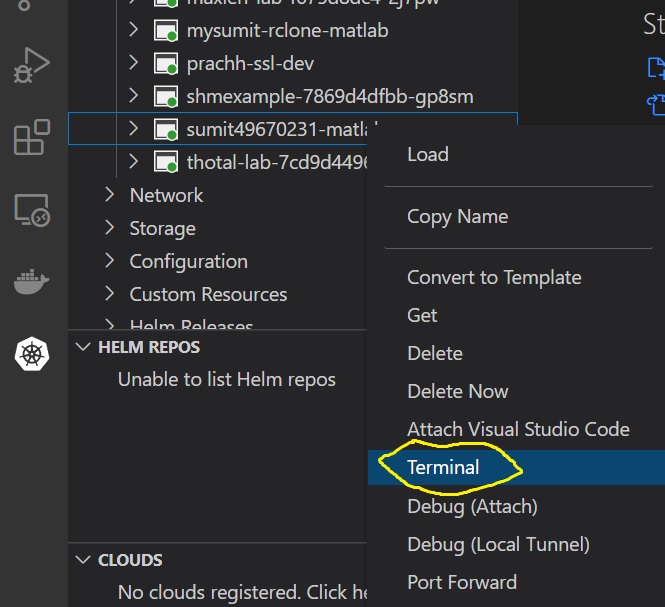 Select your Pod and attach terminal.