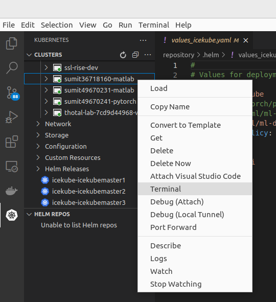 Select your Pod and attach terminal.